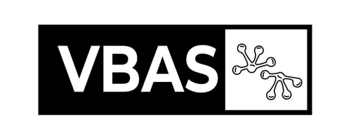 VBAS — Viver Bem Arte Suave